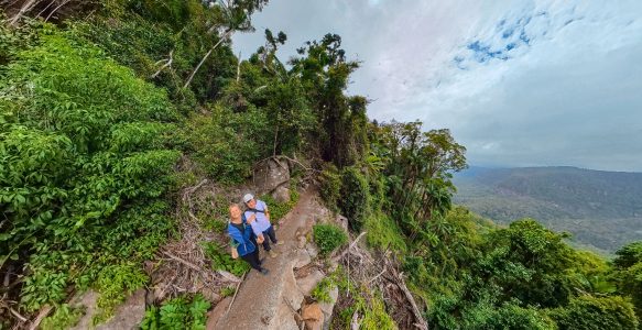 Australiens Ostküste mit dem Wohnmobil: Gold Coast, Brisbane, Lamington-Nationalpark & die schnellste Zahnkrone der Welt