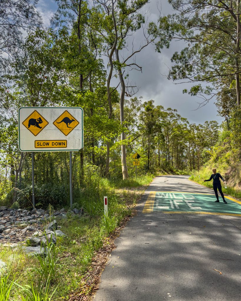 Australiens Ostküste im Wohnmobil