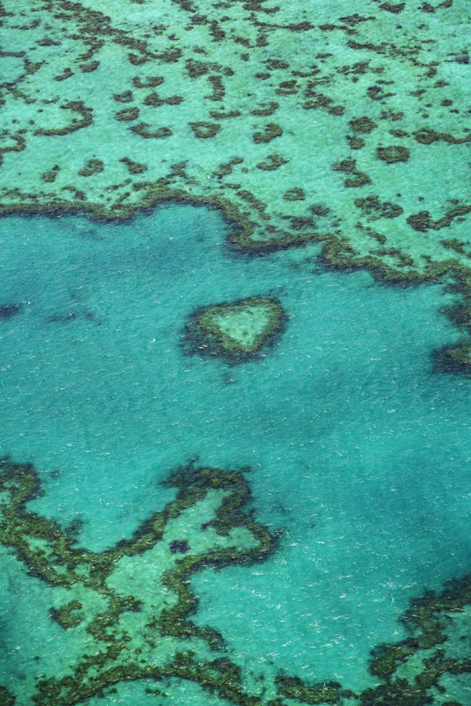 Heart Reef Rundflug Whitsundays