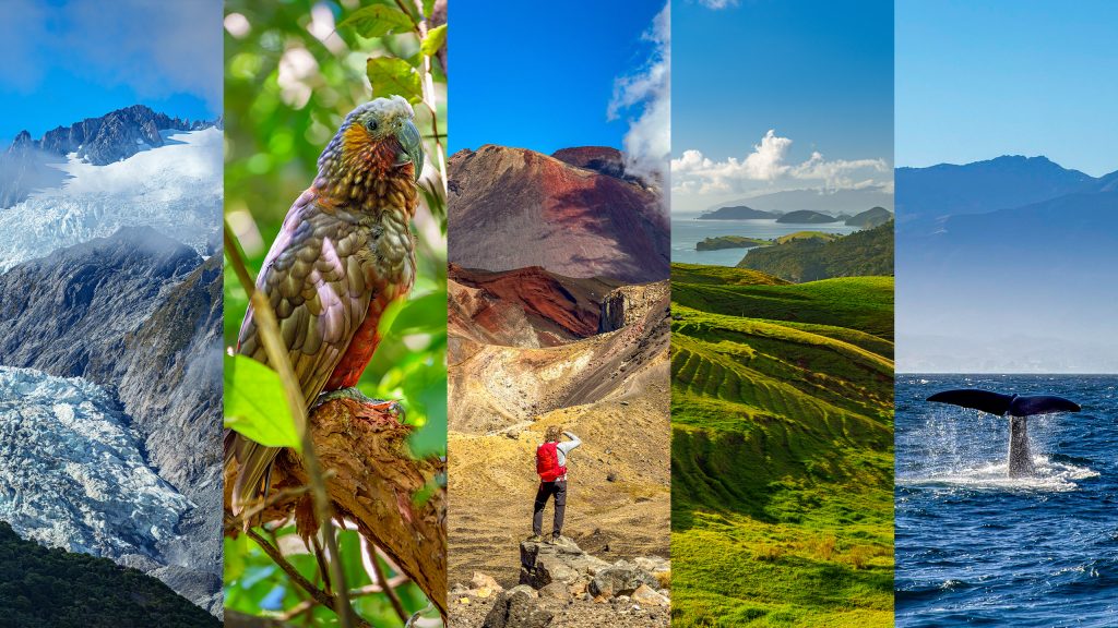 Neuseeland Reiseblog