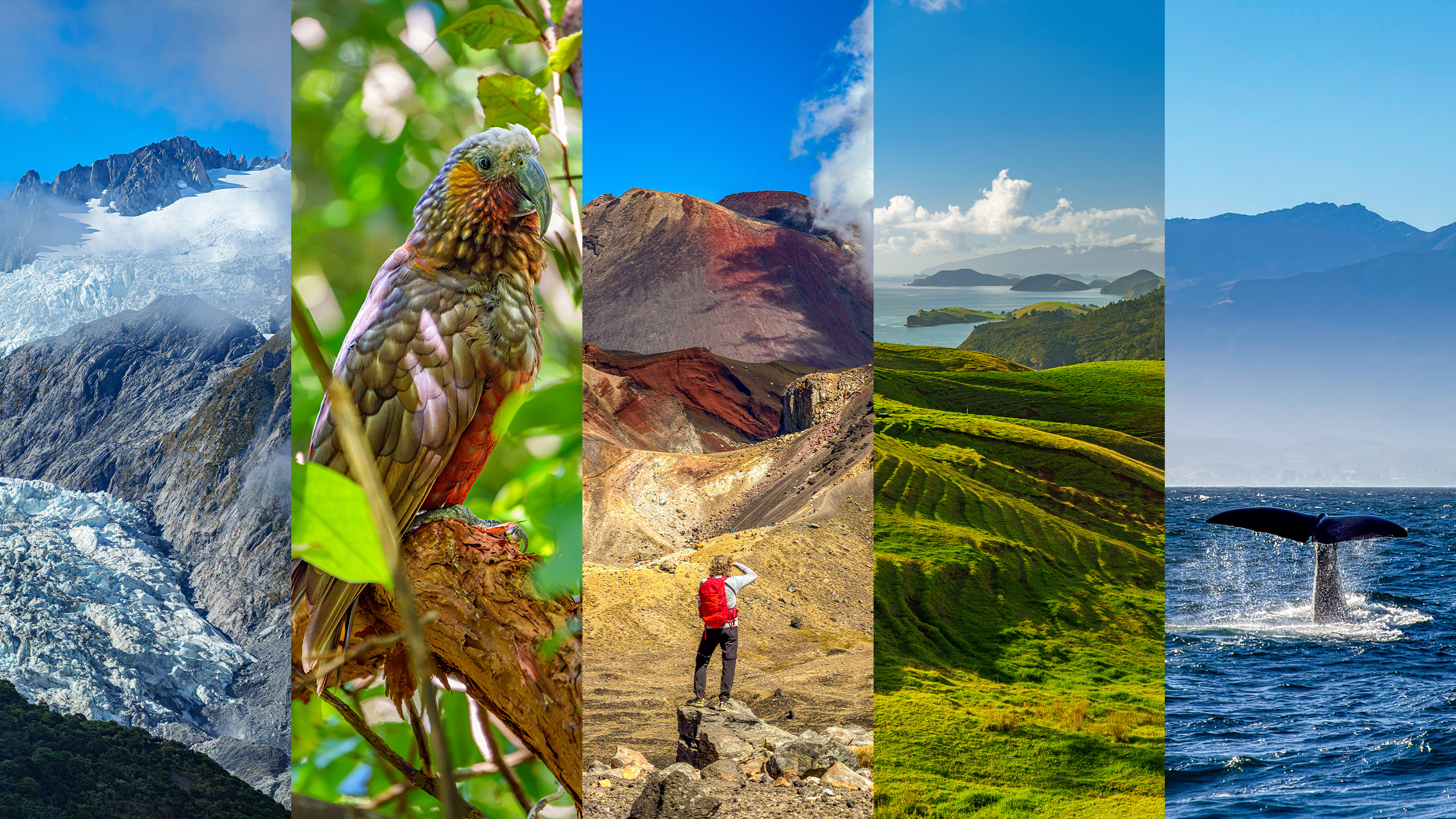 Neuseeland