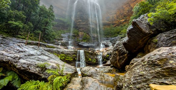 Blue Mountains in Australien – Nebel, Wentworth Falls und überraschend kalte Tage