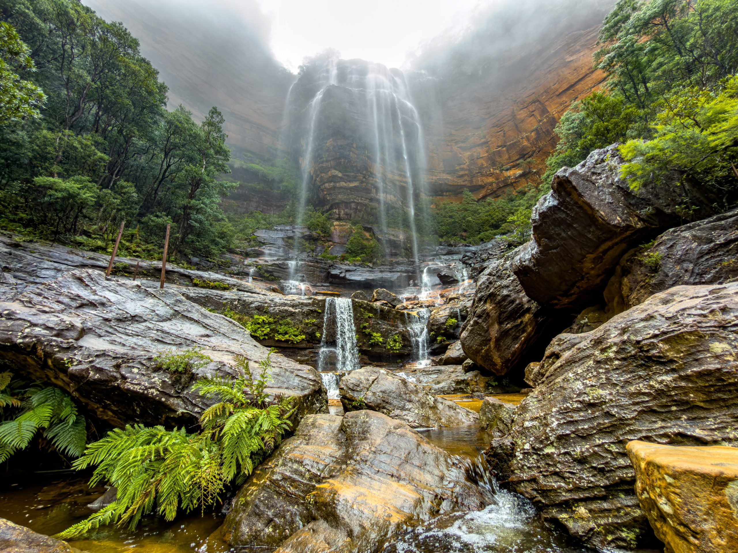 Blue Mountains in Australien – Nebel, Wentworth Falls und überraschend kalte Tage