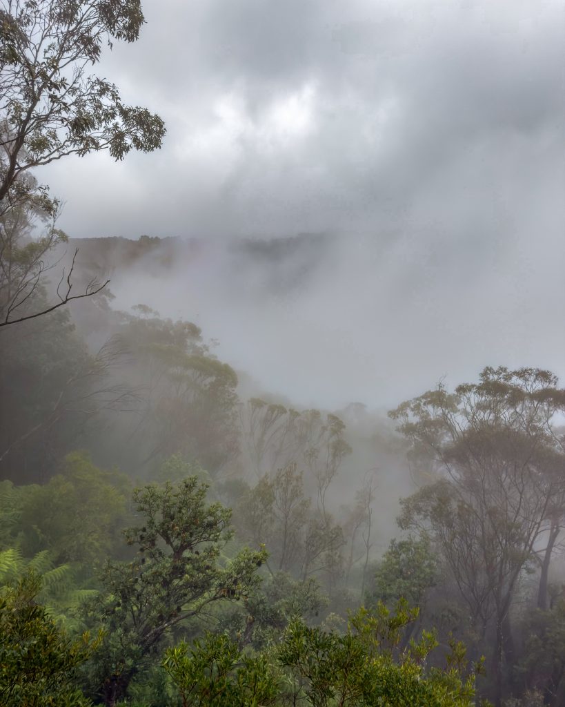 Blue Mountains Australien