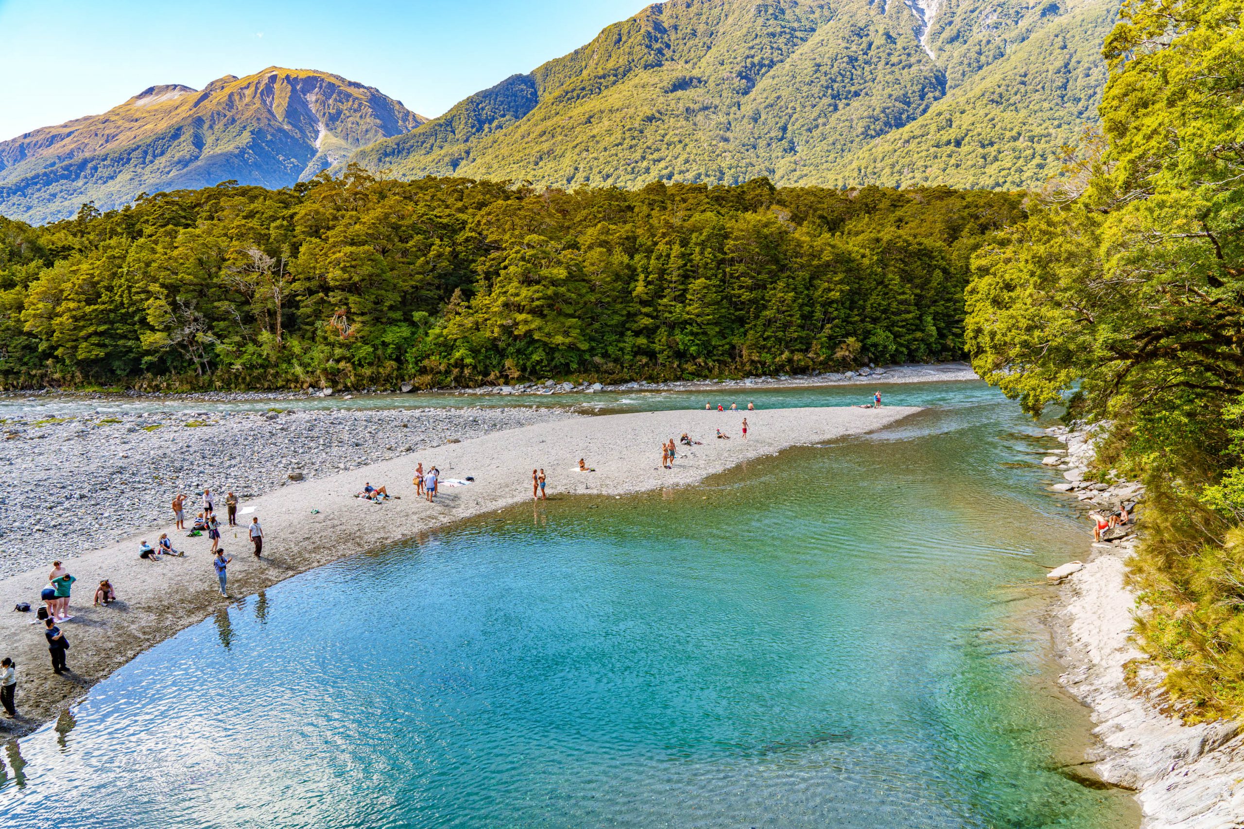 Roadtrip entlang Neuseelands Westküste – Unser Stopp an den Blue Pools