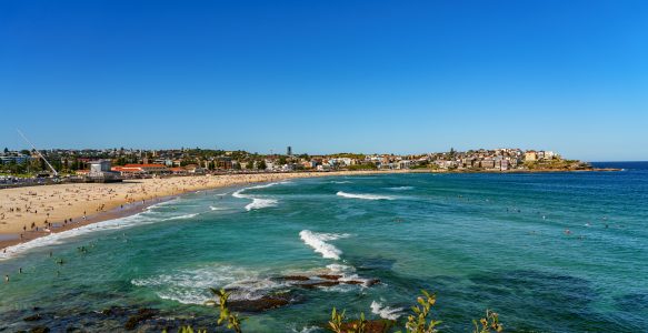Bondi Beach in Sydney: Zwischen traumhafter Küste und einem alptraumhaften Busfahrer
