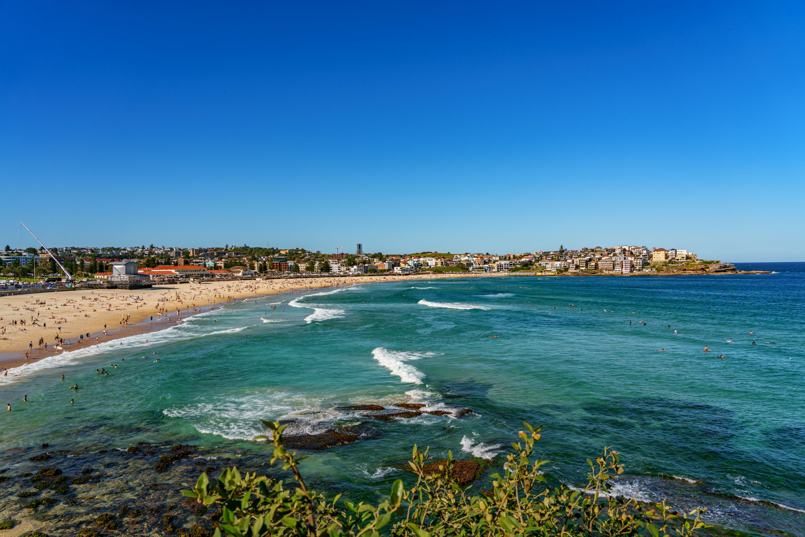 Bondi Beach in Sydney: Zwischen traumhafter Küste und einem alptraumhaften Busfahrer
