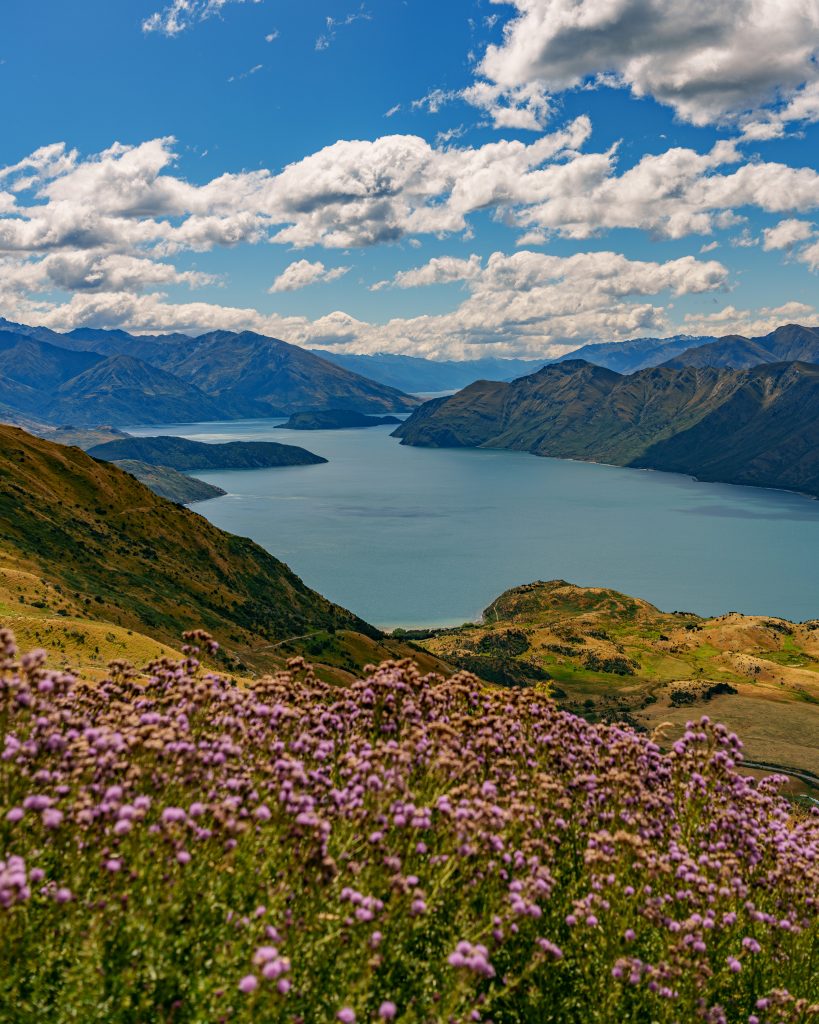 Roys Peak Wanderung