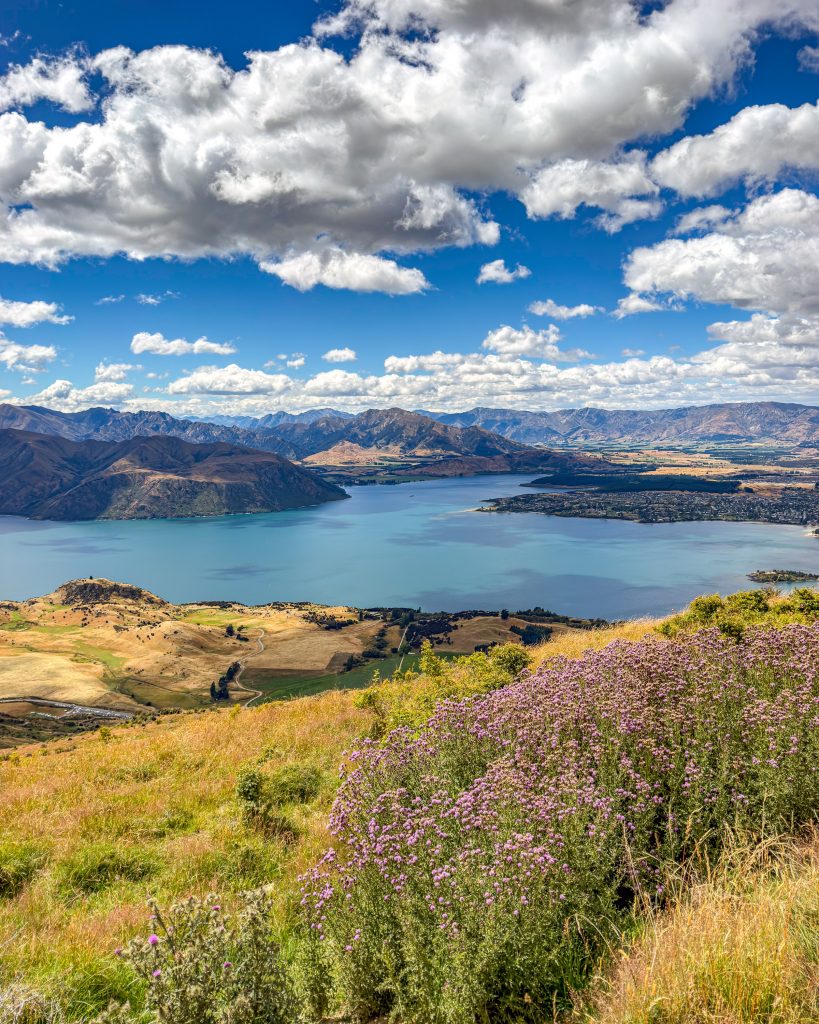 Roys Peak Wanderung