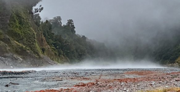 Regenwetter am Franz Josef Gletscher – Was man bei schlechtem Wetter trotzdem entdecken kann