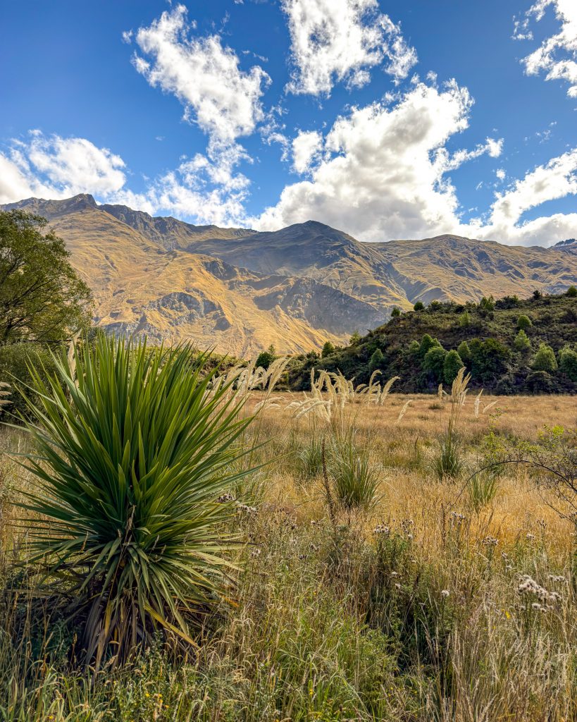 Wānaka Neuseeland