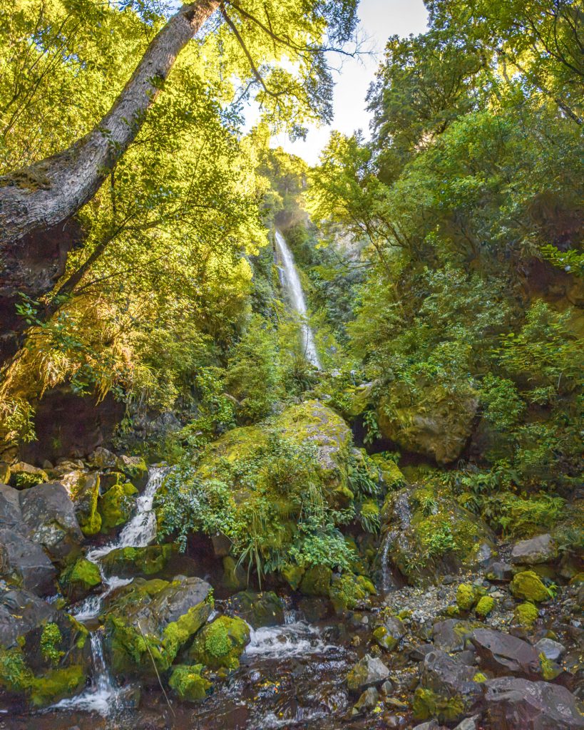 Lake Rotoiti Wanderung