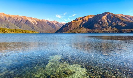 Lake Rotoiti Wanderung