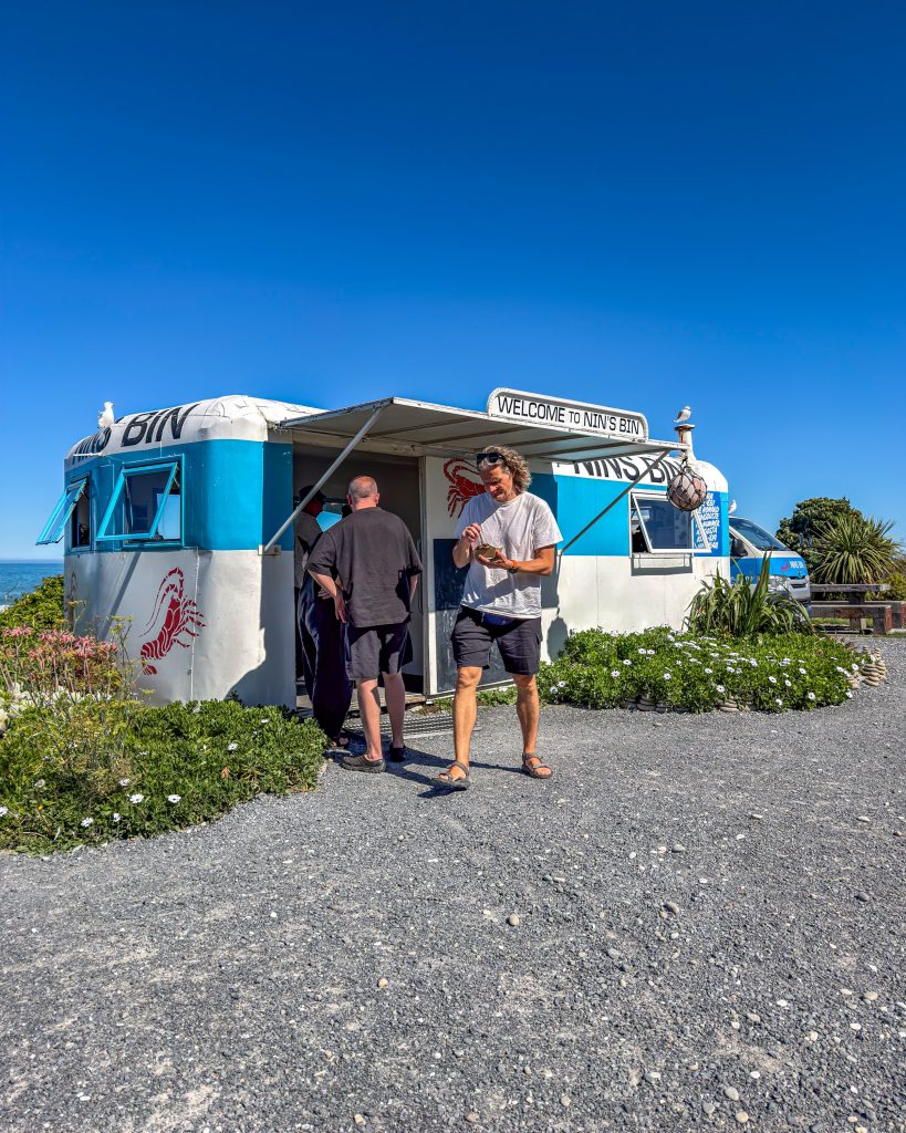 Pāua in Neuseeland