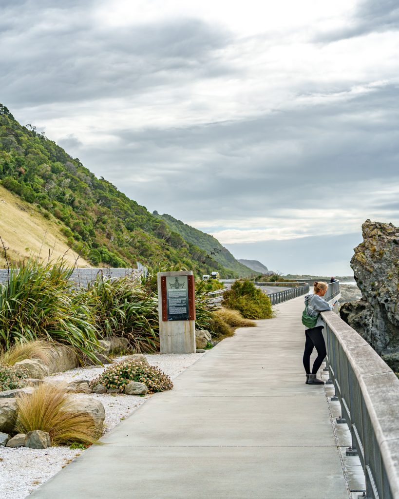 Pāua in Neuseeland