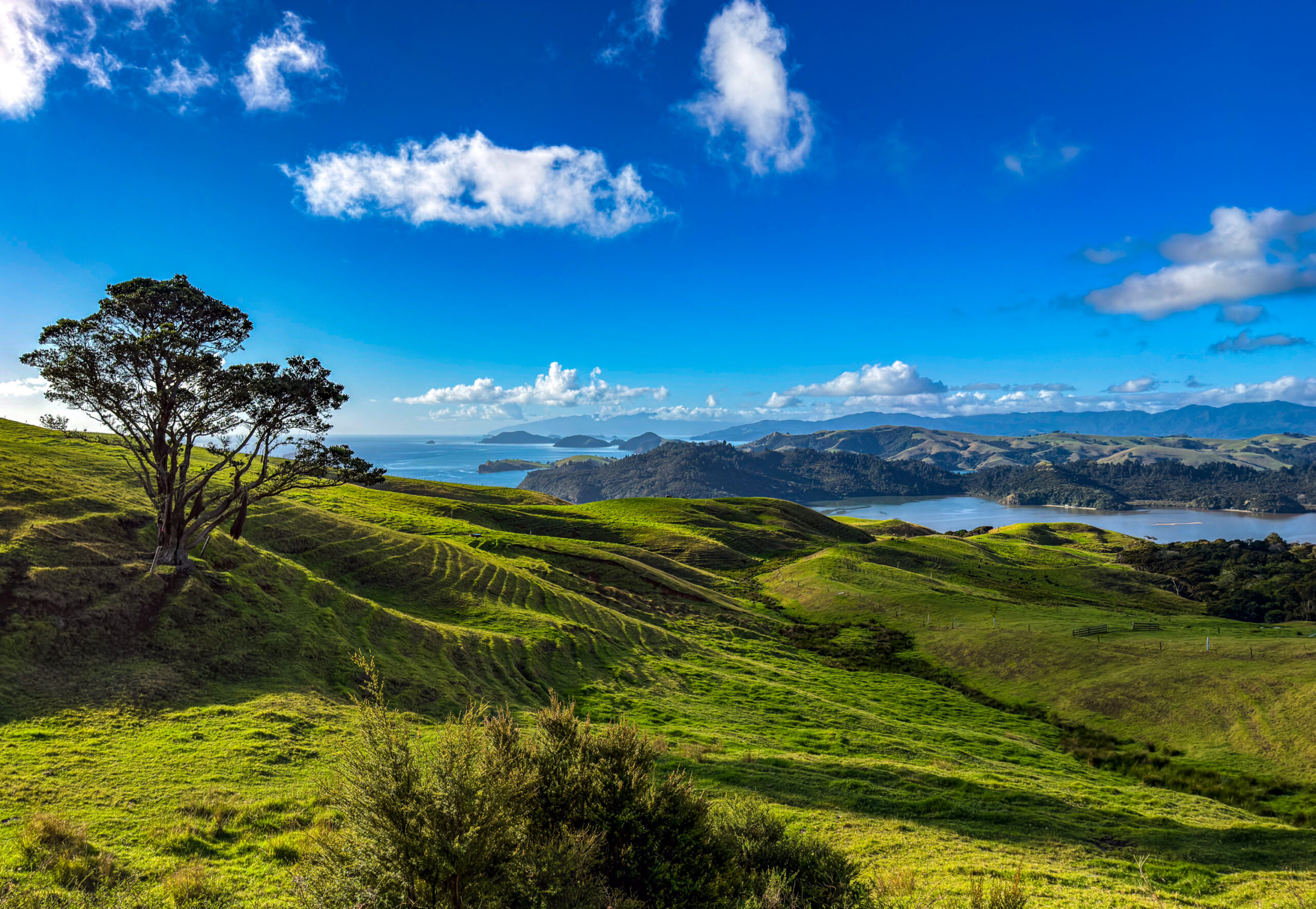 Coromandel Peninsula: Krank auf Reisen und trotzdem angekommen