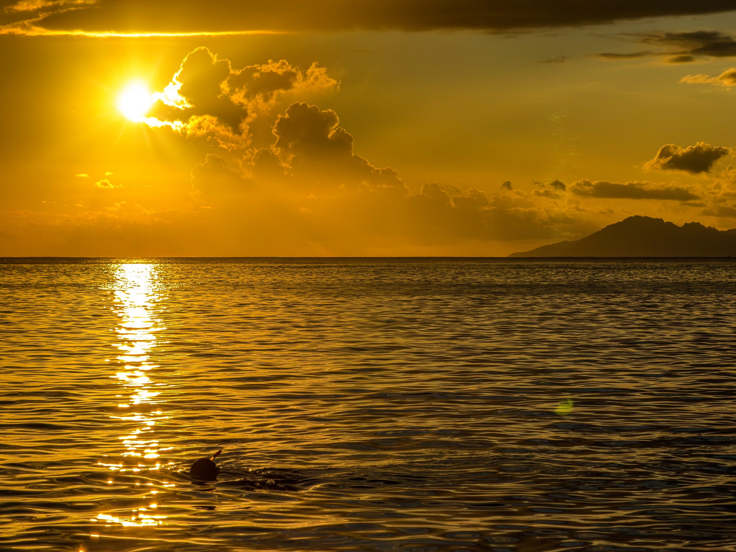 Tahiti: Traumziel oder Flop? Unsere ehrlichen Erfahrungen auf der Insel
